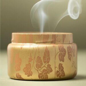 Capri Blue Pumpkin Clove Tin Candle